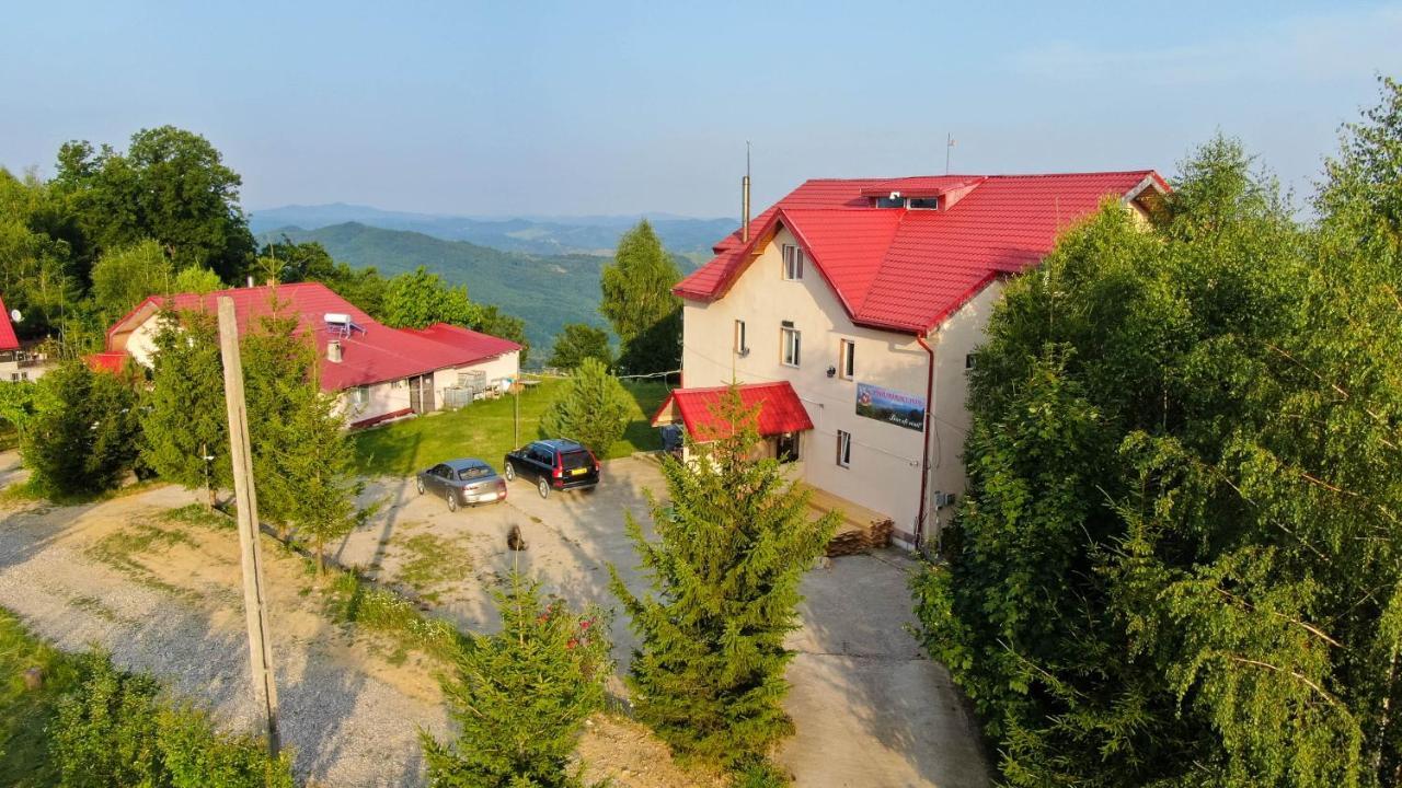 Pensiune Runcu Stone Dış mekan fotoğraf